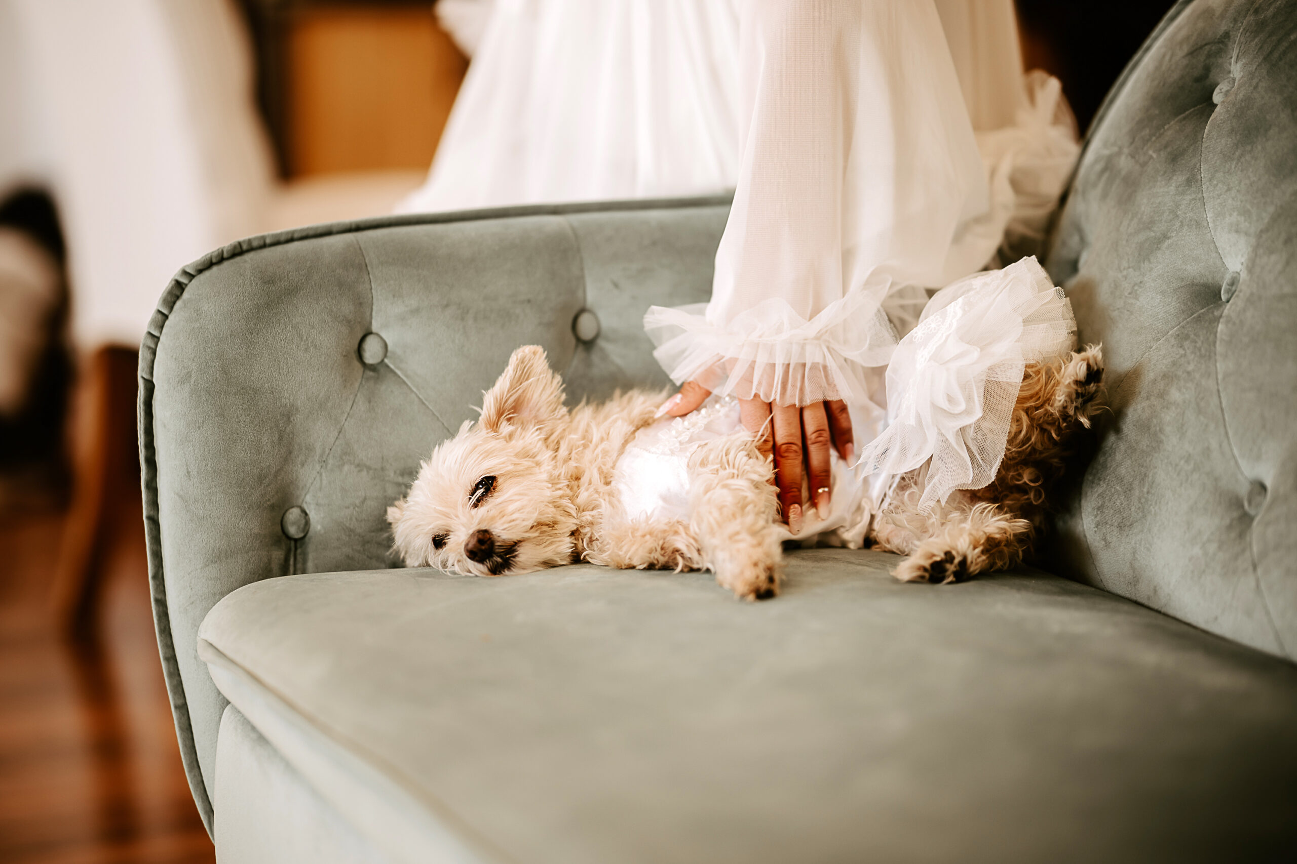 Tucson Wedding Photographer - Sage Creek Ranch Wedding - Tucson Arizona Wedding Photography - Kristin Bendigo Photography
