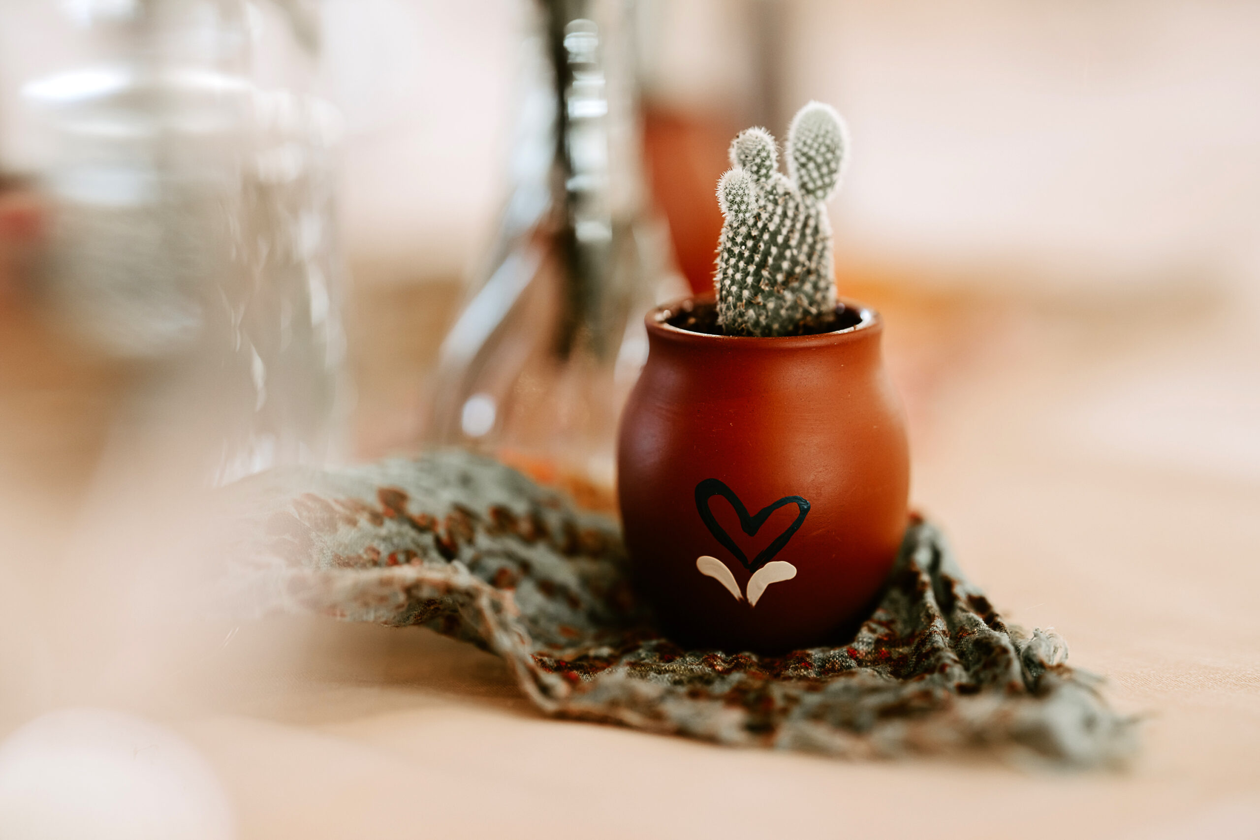 Tucson Wedding Photographer - Arizona Wedding Photographer - Tanque Verde Ranch Wedding - Tucson Arizona Wedding Photography - Kristin Bendigo Photography